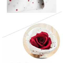 Star Moon Print Tissue Papers