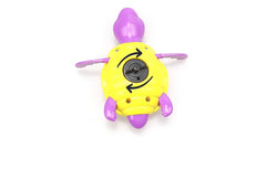 Tortoise Clockwork Water Toy