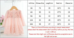 Floral Lace Baby Tutu Dress