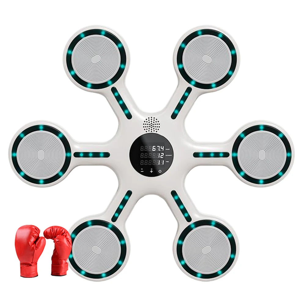Wall-Mounted Boxing Wall Target