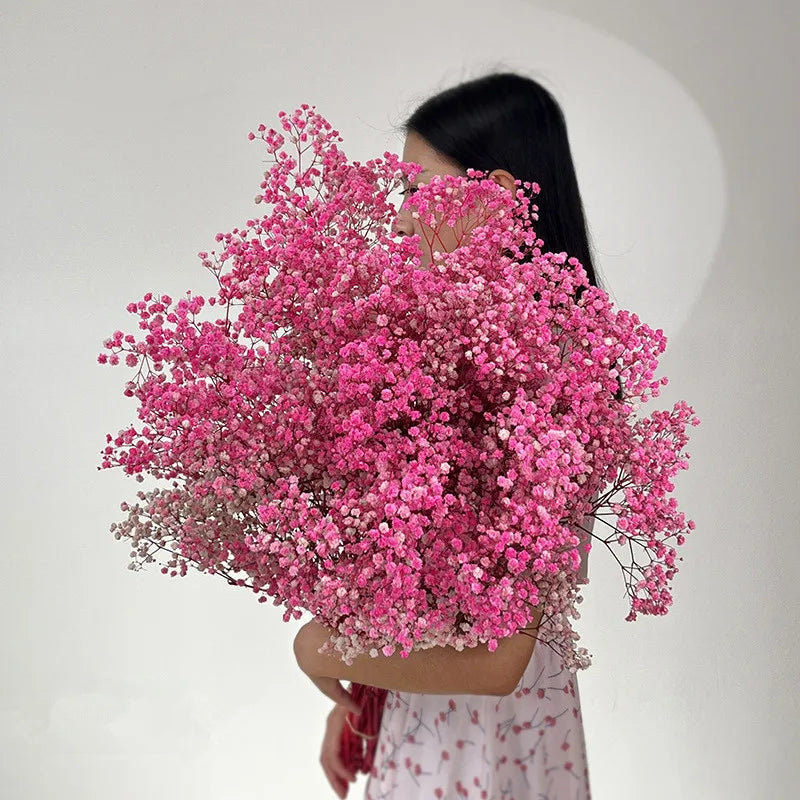 Natural Dried Baby's Breath Flowers Fresh Gypsophila Paniculata Bouquets Christmas Gift Wedding Floral Arrangement Home Decor