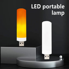 USB LED Simulated Flame Lamp
