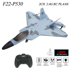 P530 2.4G 2CH RC Airplane Raptor