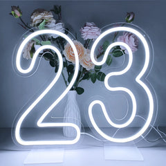 LED Neon Glowing Number