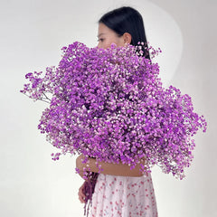 Natural Dried Baby's Breath Flowers Fresh Gypsophila Paniculata Bouquets Christmas Gift Wedding Floral Arrangement Home Decor