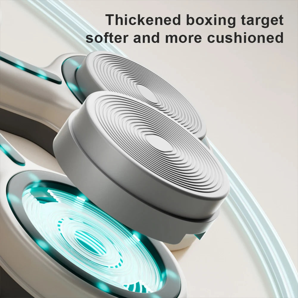 Wall-Mounted Boxing Wall Target