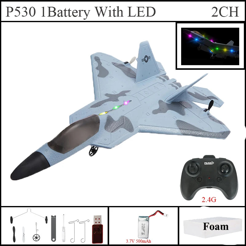 P530 2.4G 2CH RC Airplane Raptor