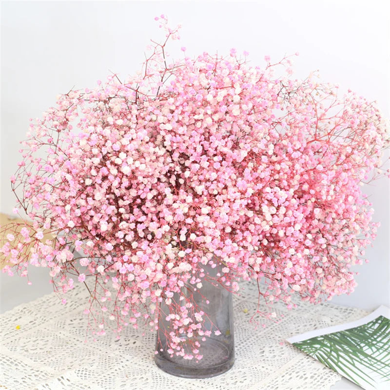Natural Dried Baby's Breath Flowers Fresh Gypsophila Paniculata Bouquets Christmas Gift Wedding Floral Arrangement Home Decor