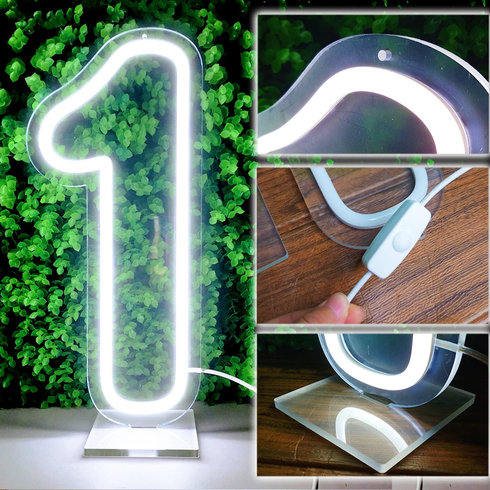 LED Neon Glowing Number