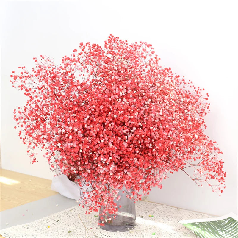 Natural Dried Baby's Breath Flowers Fresh Gypsophila Paniculata Bouquets Christmas Gift Wedding Floral Arrangement Home Decor