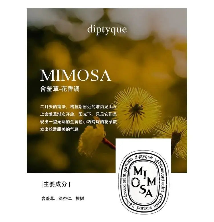 Diptyques Aromatherapy Candle