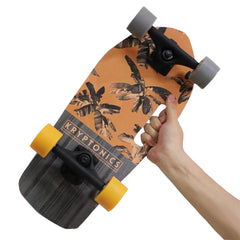 High Speed Drift Cruiser Skateboard