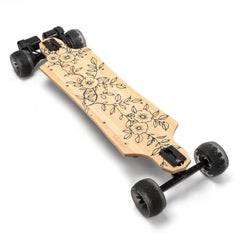 Electric Skateboards & Longboards